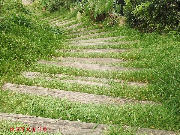 熊空 137.jpg 熊空 137.jpg