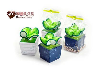 毛巾小樹苗 毛巾小樹苗