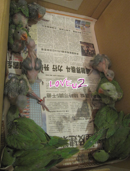 IMG_2593-1.jpg IMG_2593-1.jpg