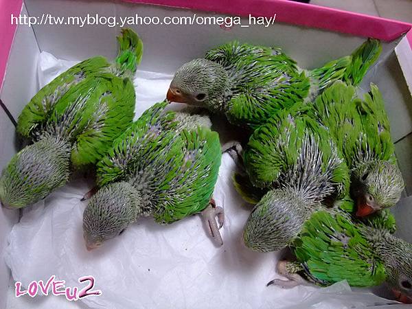 DSCF9966-1.jpg DSCF9966-1.jpg