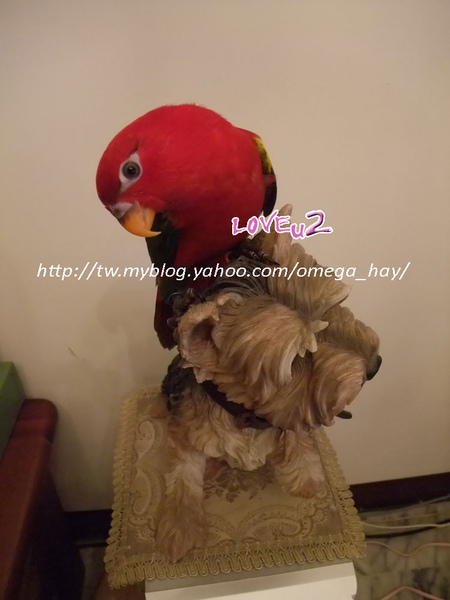 DSCF9003-1.jpg DSCF9003-1.jpg