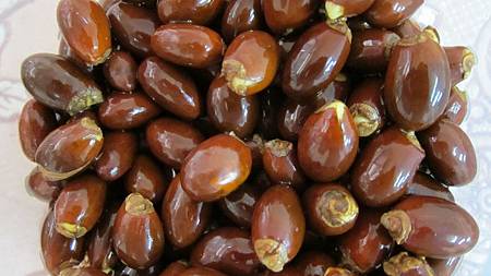 荔枝种子长大了@+嘉减碳的部落格:+痞客邦