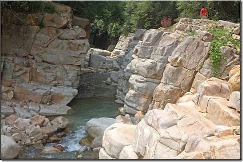 1239096631 1239096631