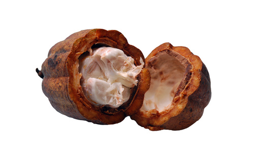cocoa-butter.jpg cocoa-butter.jpg
