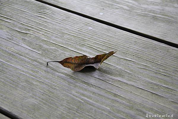 IMG_2043.jpg IMG_2043.jpg