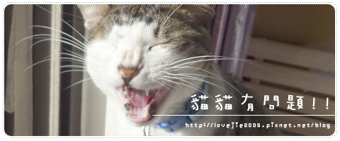 banner拷貝.jpg banner拷貝.jpg