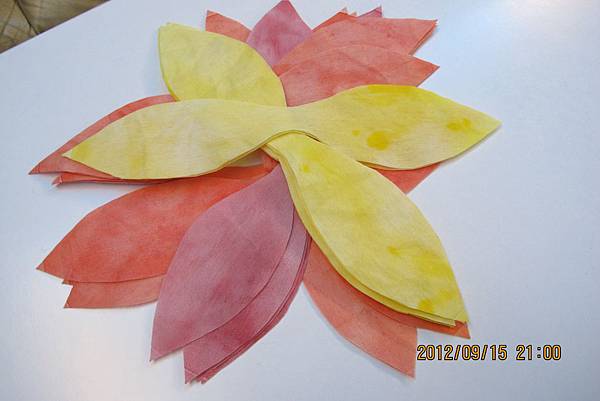 IMG_1404 IMG_1404