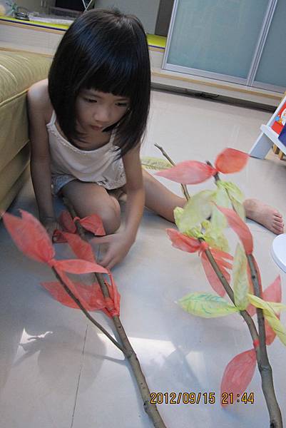 IMG_1405 IMG_1405