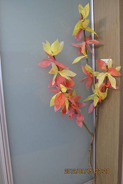 IMG_1407 IMG_1407