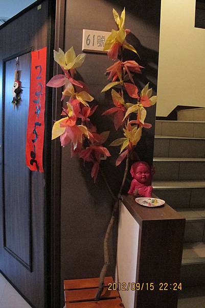 IMG_1408 IMG_1408