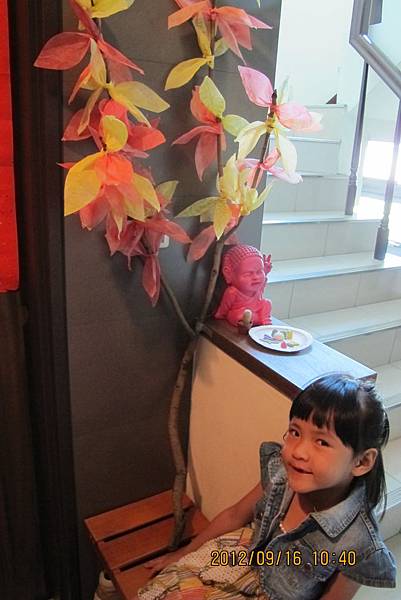 IMG_1411 IMG_1411