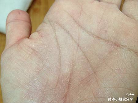 PhotoCap_018.jpg 試用
