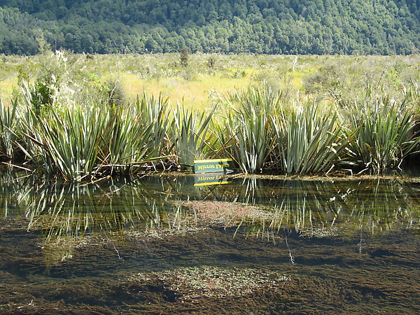 IMG_1437.JPG IMG_1437.JPG