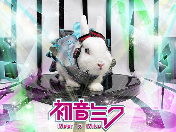 20130125meerxmiku-11 20130125meerxmiku-11