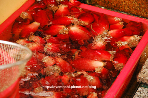 Day4 - <br> unknown seafood.jpg