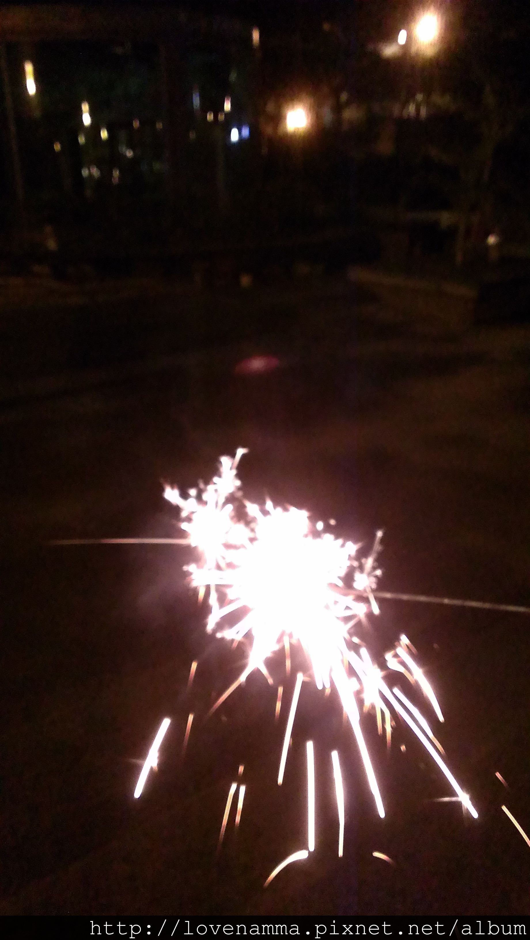 IMAG2347[1]