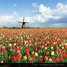 images (2)