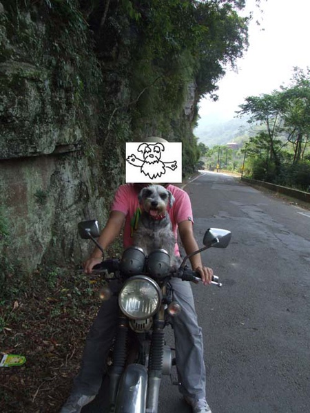 14.jpg 14.jpg