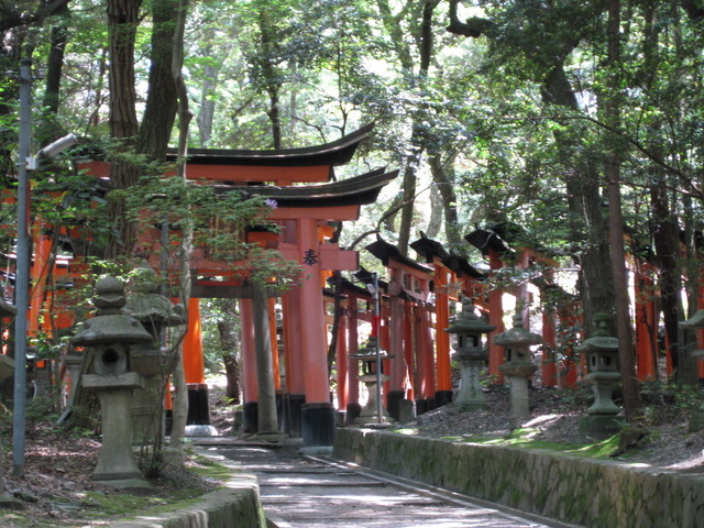 ＊08 / 05 / 13 京都。伏見稻荷大社。宇治。平等院