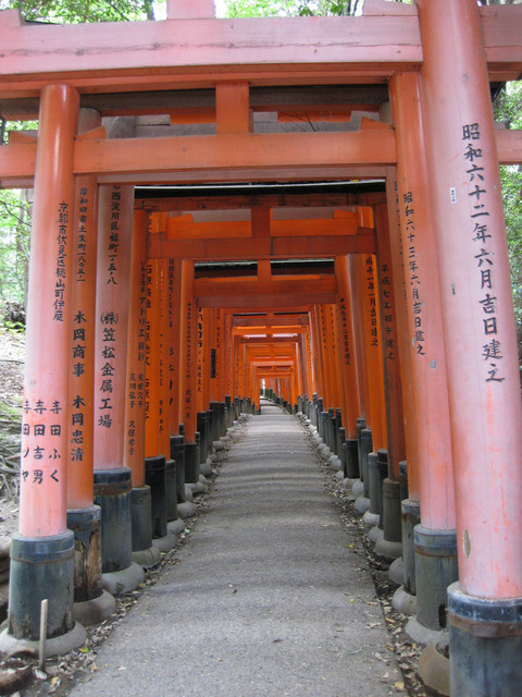 ＊08 / 05 / 13 京都。伏見稻荷大社。宇治。平等院