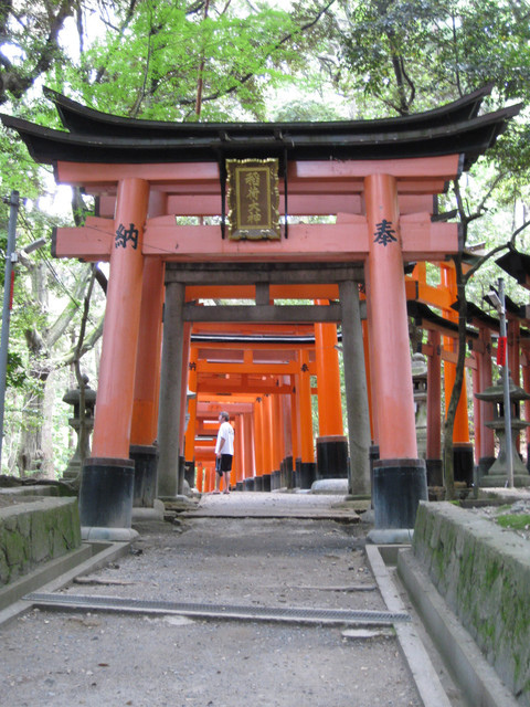 ＊08 / 05 / 13 京都。伏見稻荷大社。宇治。平等院