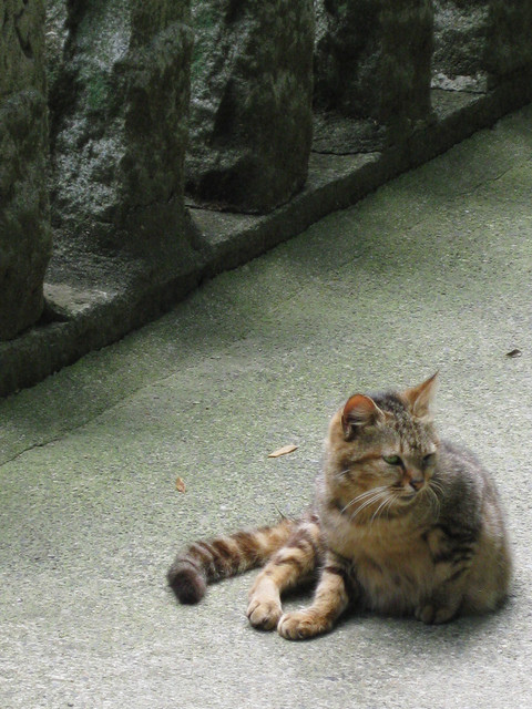 ＊08 / 05 / 13 京都。伏見稻荷大社。宇治。平等院