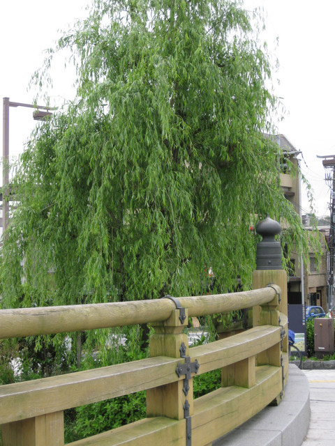 ＊08 / 05 / 13 京都。伏見稻荷大社。宇治。平等院