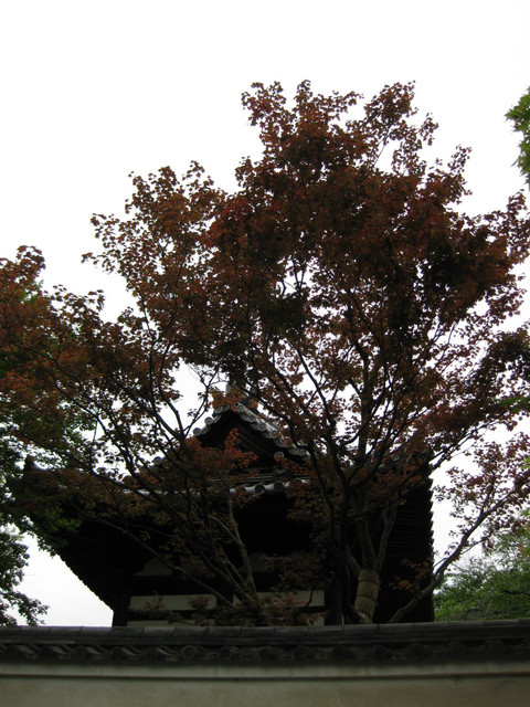 ＊08 / 05 / 13 京都。伏見稻荷大社。宇治。平等院