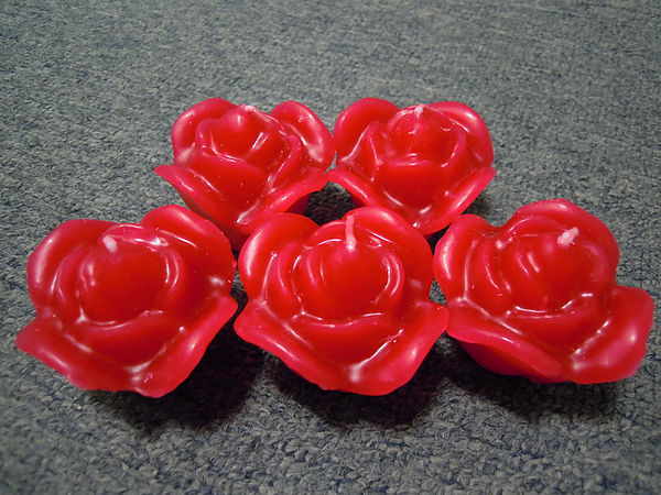 DSCN1186.JPG DSCN1186.JPG