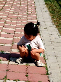 DSCF3672.JPG DSCF3672.JPG