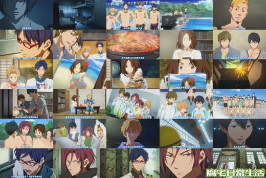 蝴蝶和蝴蝶的對決