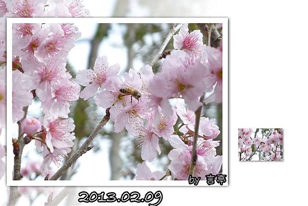 20130209 20130209