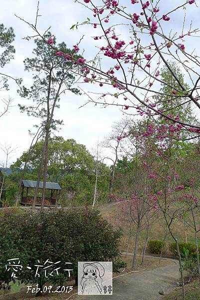 P1220775-1 P1220775-1