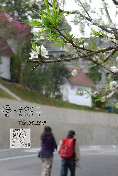 P1220803-1 P1220803-1