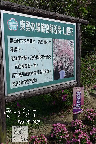 P1220873-1 P1220873-1