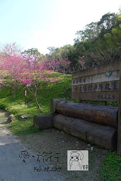 P1220881-1 P1220881-1