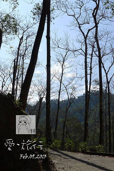 P1220907-1 P1220907-1