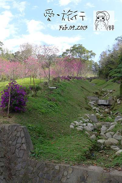 P1220917-1 P1220917-1