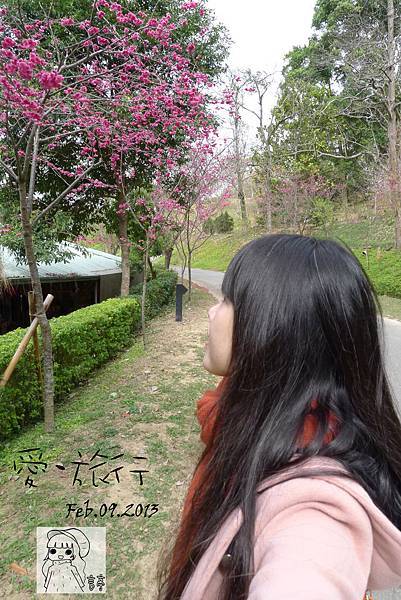 P1220928-1 P1220928-1