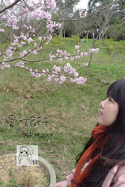 P1220951-1 P1220951-1