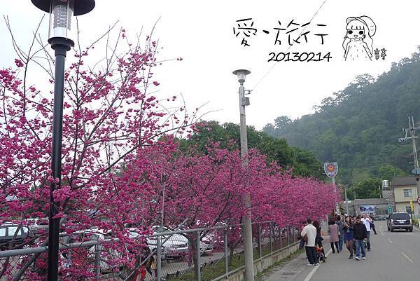 P1230049-1 P1230049-1
