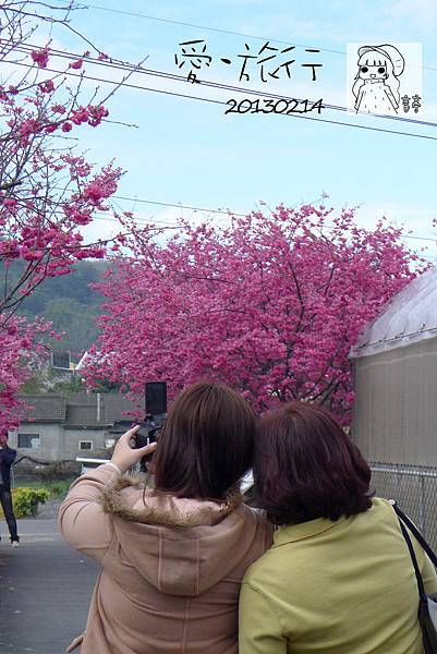 P1230193-1 P1230193-1