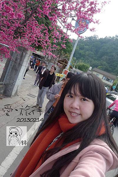 P1230222-1 P1230222-1