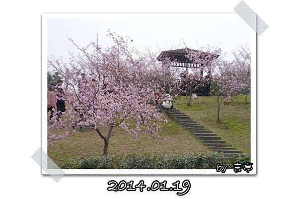 20140119.jpg 20140119.jpg