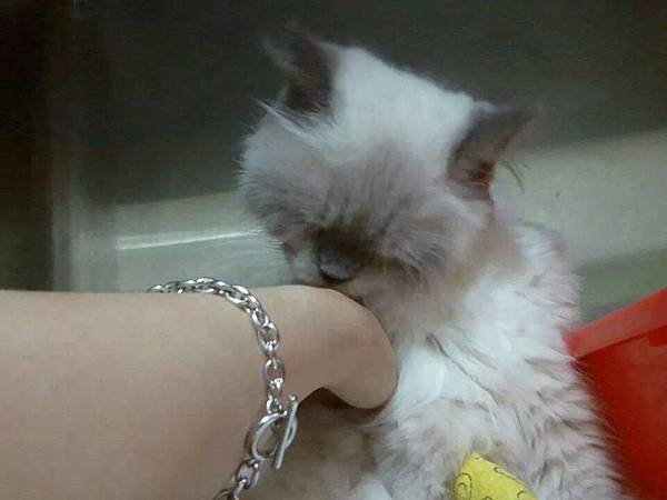 1071992382_o 1071992382_o