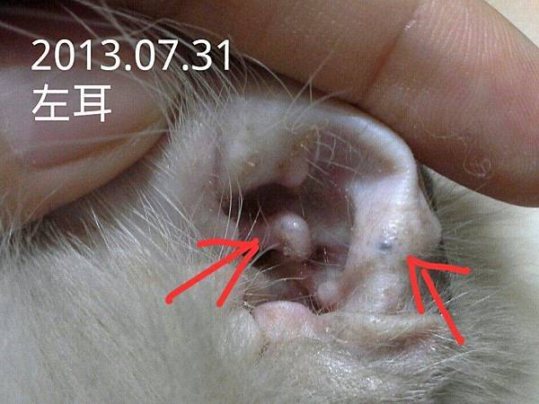 156310_469542459809291_851020019_n 156310_469542459809291_851020019_n