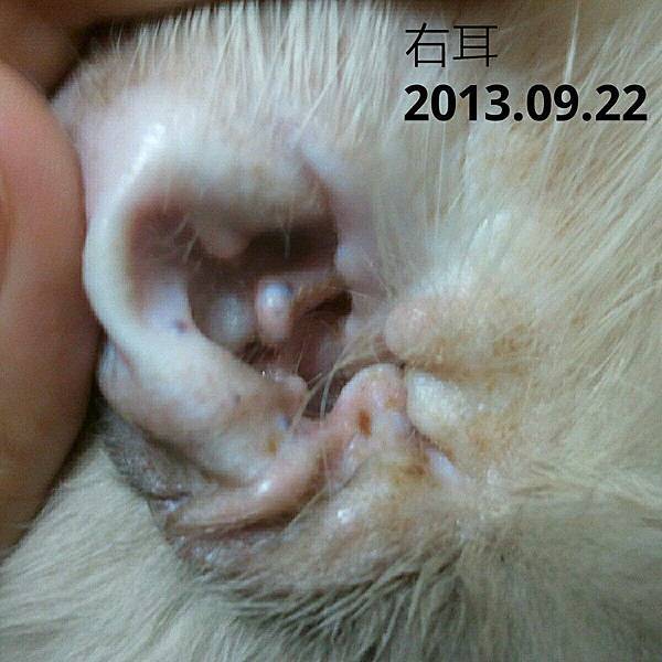 960159_498822036881333_1845438879_n 960159_498822036881333_1845438879_n