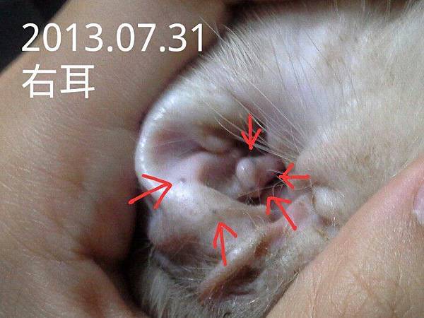 994860_469542409809296_1326506679_n 994860_469542409809296_1326506679_n