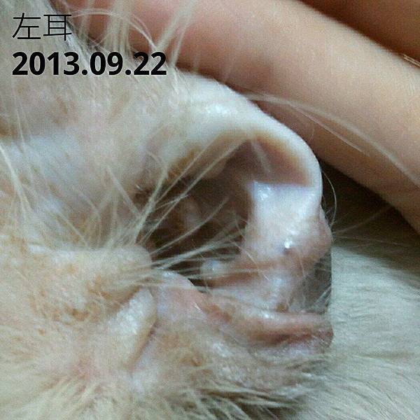 1379989_498822016881335_16565071_n 1379989_498822016881335_16565071_n