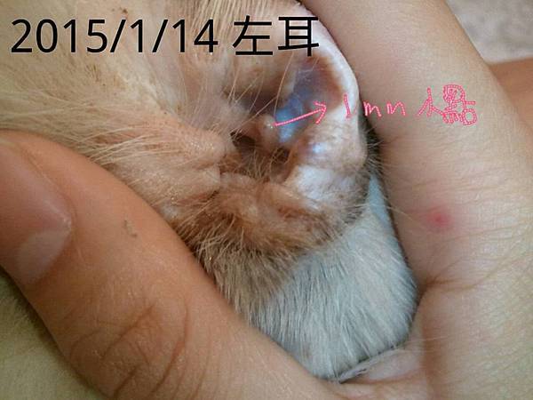 10906421_734065206690347_2972948248294145220_n 10906421_734065206690347_2972948248294145220_n